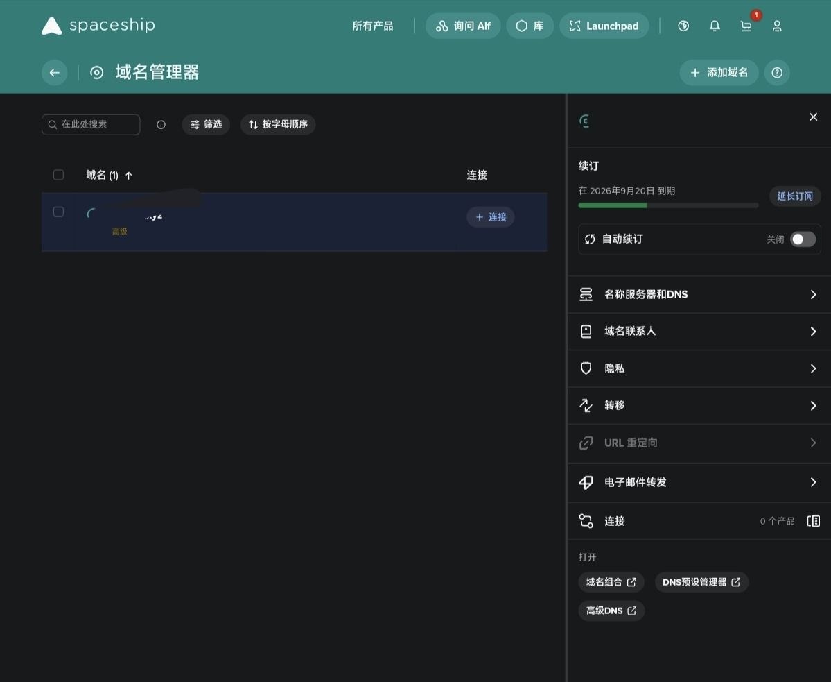 Spaceship 域名管理器里的名称服务器和 DNS 入口